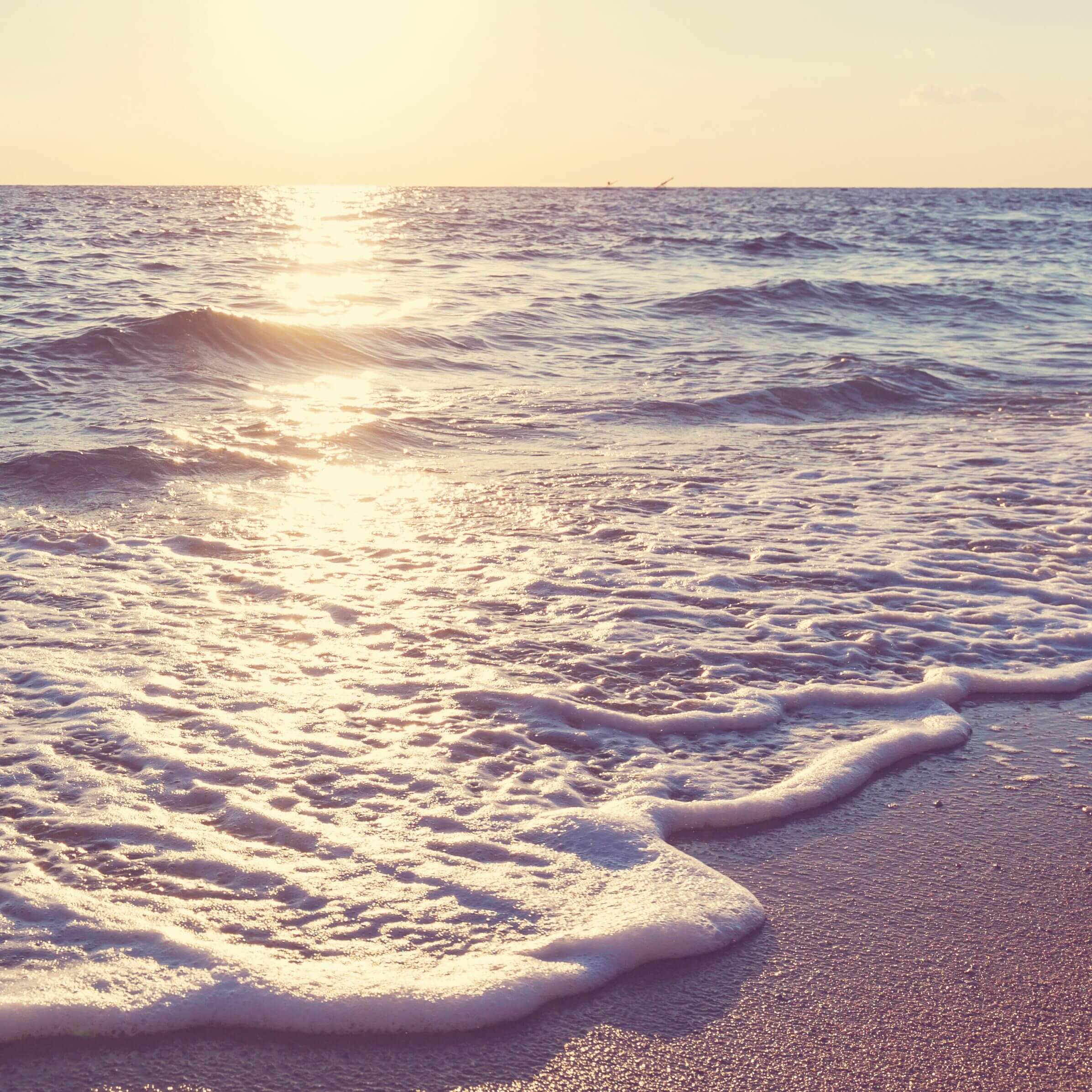 May Daze motel special at Paradise Ocean Resort